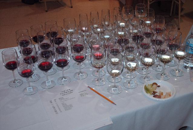 several wine flights being judged